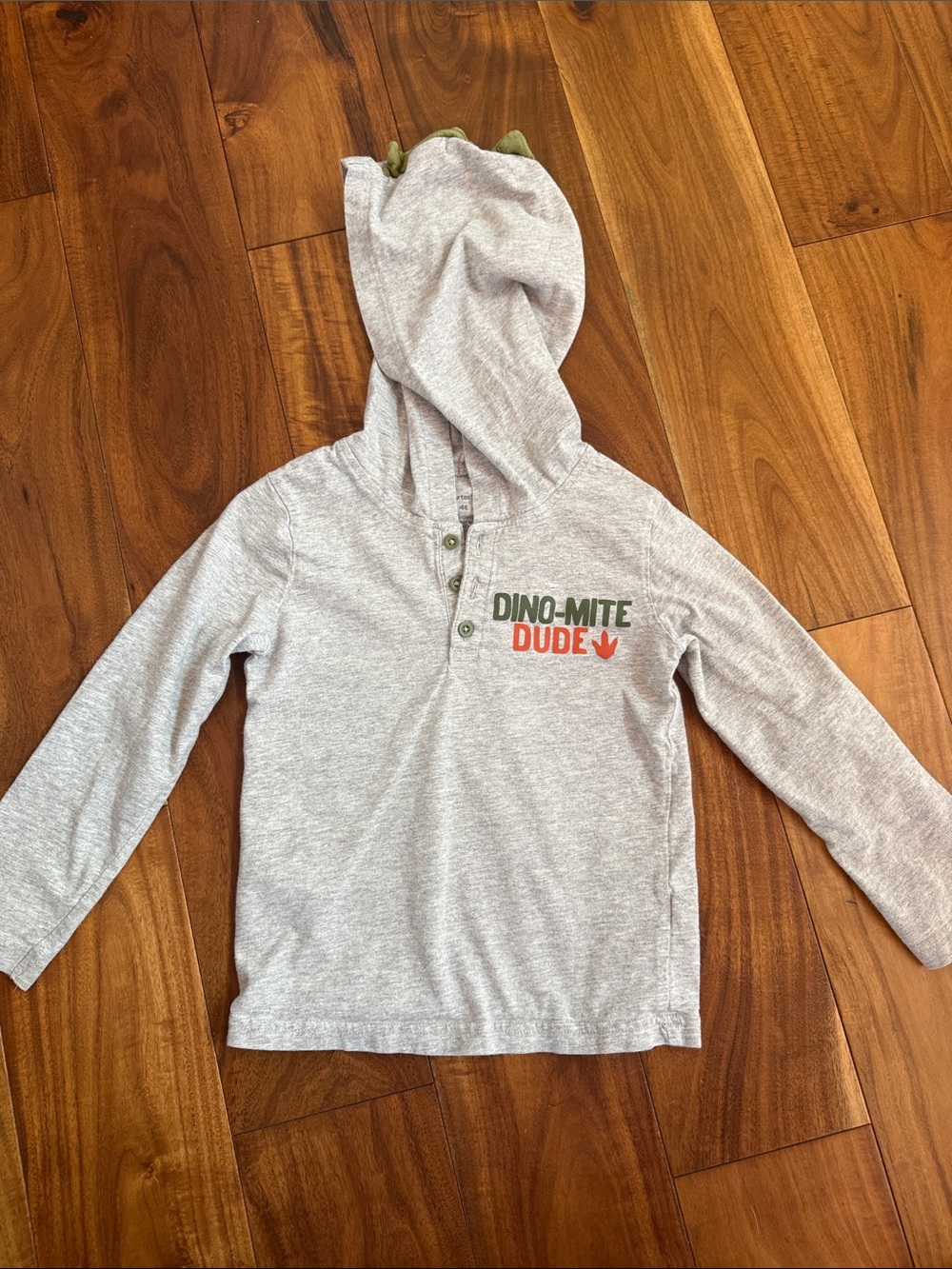 Carter's Gray Hooded Long-Sleeve Tee with Green and Orange Dino Print